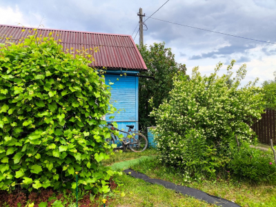 Дачникам дали полезные советы по весенней подготовке участков