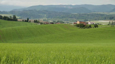 Полезные гектары