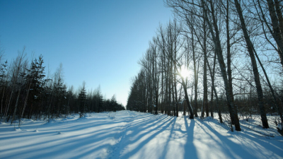 Морозы отходят: в Татарстане ожидается повышение температуры до -9 градусов 27/01/2026 &ndash; Новости