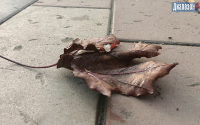 Погода в Актобе на11-13 октября. Ожидаются похолодание и дождь