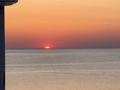 Вылавливать медуз планируют в Азовском море в 2026 году