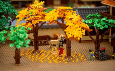 LEGO усиливает брендинг и инновации в Китае