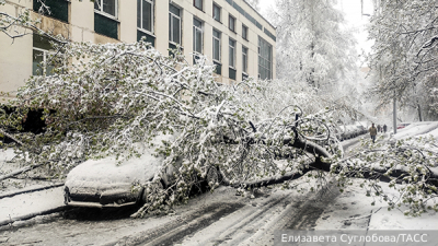 Москвичам пообещали облачную и прохладную среду