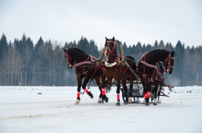 Более 10 тысяч гостей посетили &laquo;Русскую Тройку&raquo; под Вологдой: &laquo;Это одно из ярких переживаний этой зимы&raquo;