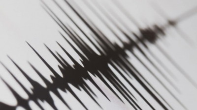В Талдыкоргане почувствовали землетрясение