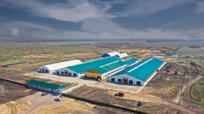 Северо-Казахстанская область укрепляет статус лидера в молочном животноводстве