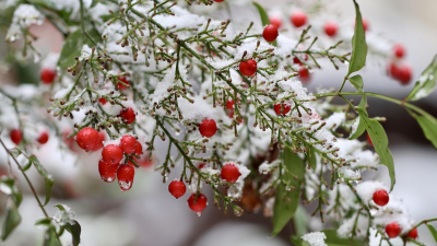 В ряде областей Казахстан ожидаются густой туман и усиление ветра