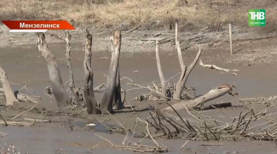 Люди в гидрокостюмах спасают рыбу: озеро в Мензелинске исчезло за несколько дней после обвала дороги