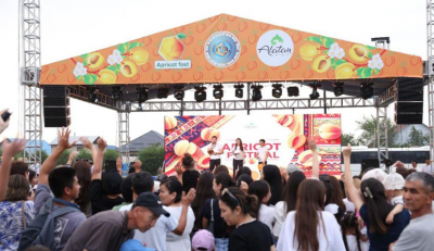Абрикосовый фестиваль Apricot Fest стал новым брендом Алматинской области