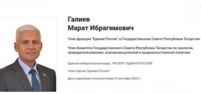 &laquo;Обидели мышонка &mdash; написали в норку&raquo;: почему депутат Госсовета Татарстана Галиев на журналистов ополчился