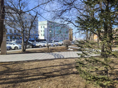 Новый тигриный сквер создают во Владивостоке