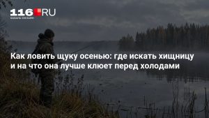 Как ловить щуку осенью: где искать хищницу и на что она лучше клюет перед холодами