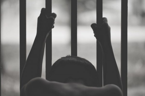 В Жамбылской области детей держали в рабстве: расследование завершено