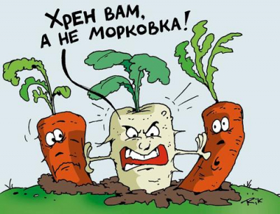 Очередная забота о людях: самозанятым хотят запретить работать с одним заказчиком дольше полугода