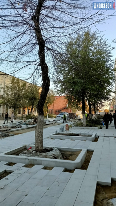 Письмо читателя. Видна забота о природе