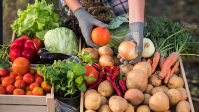 Продукты под прицелом: стабфонды Казахстана переходят на онлайн-контроль