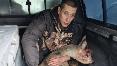 Косуля забежала на территорию больницы в Татарстане и получила травмы 22/03/2026 – Новости