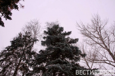 В трех республиках ПФО за год пресекли свыше 1300 экологических правонарушений