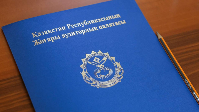 Сенат освободил от должности члена Высшей аудиторской палаты